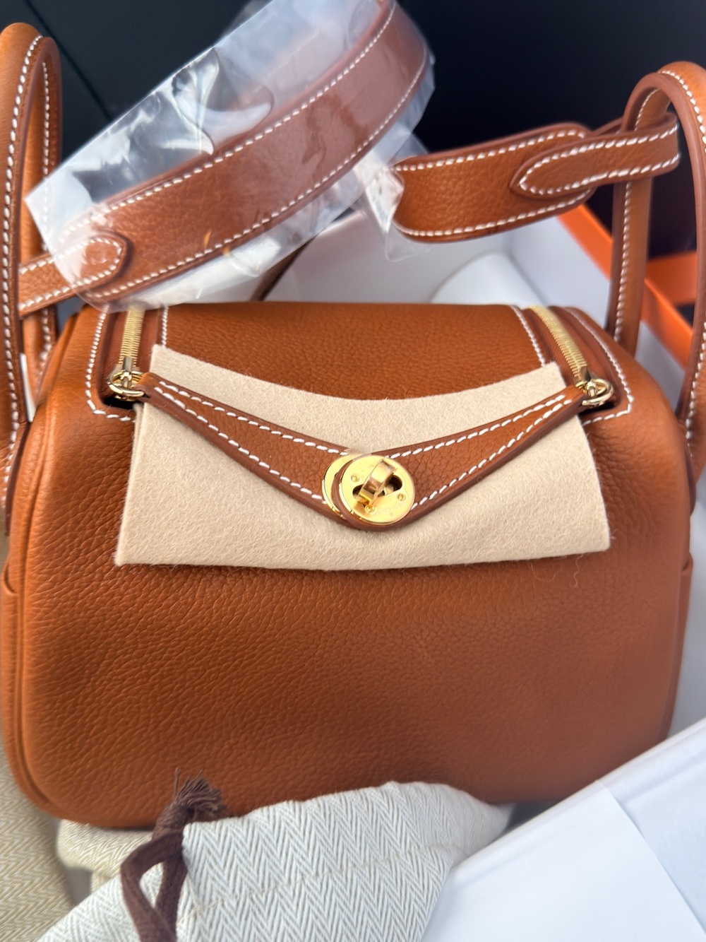 Mini Lindy Gold on Gold Barenia Leather
